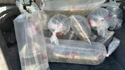 Bolu Gölköy Su Ürünleri Üretim İstasyonu’nda üretilen 6 milyon 416