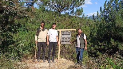Bolu’nun Göynük ilçesinde geçtiğimiz yıl meydana gelen büyük orman yangınının