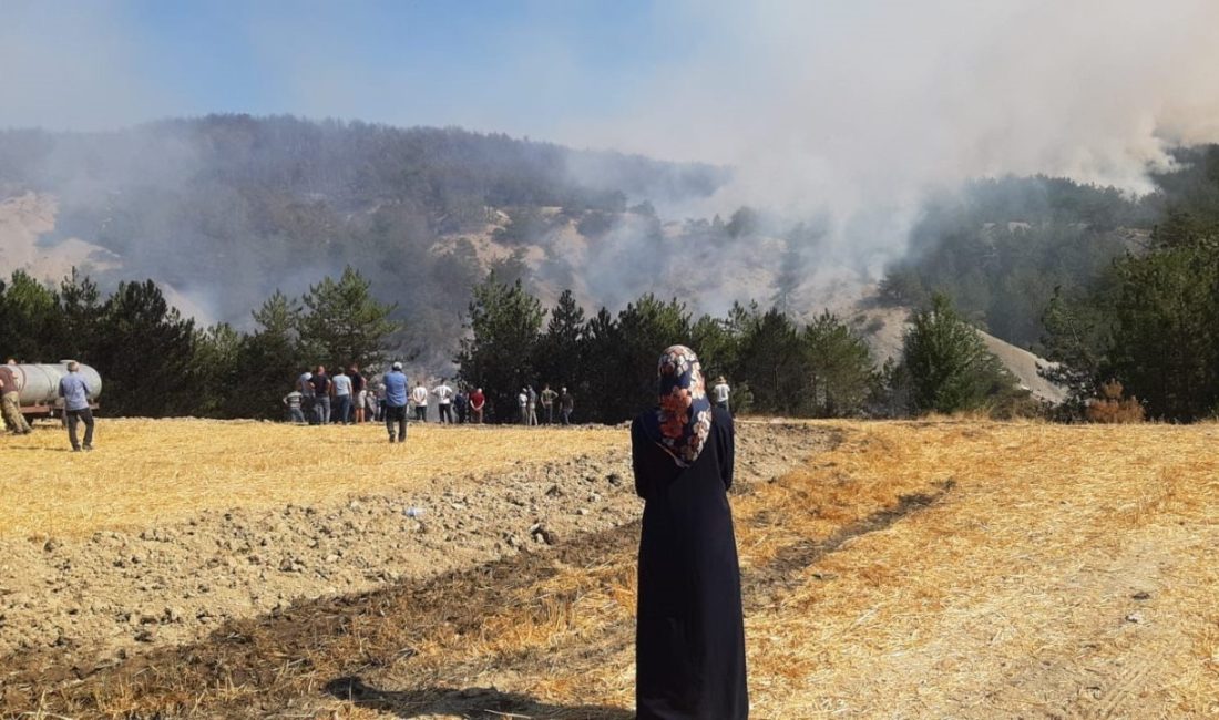 Bolu’da arazide çıkarak ormana sıçrayan yangına 5.saatinde de havadan ve