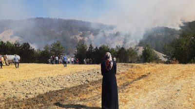 Bolu’da arazide çıkarak ormana sıçrayan yangına 5.saatinde de havadan ve