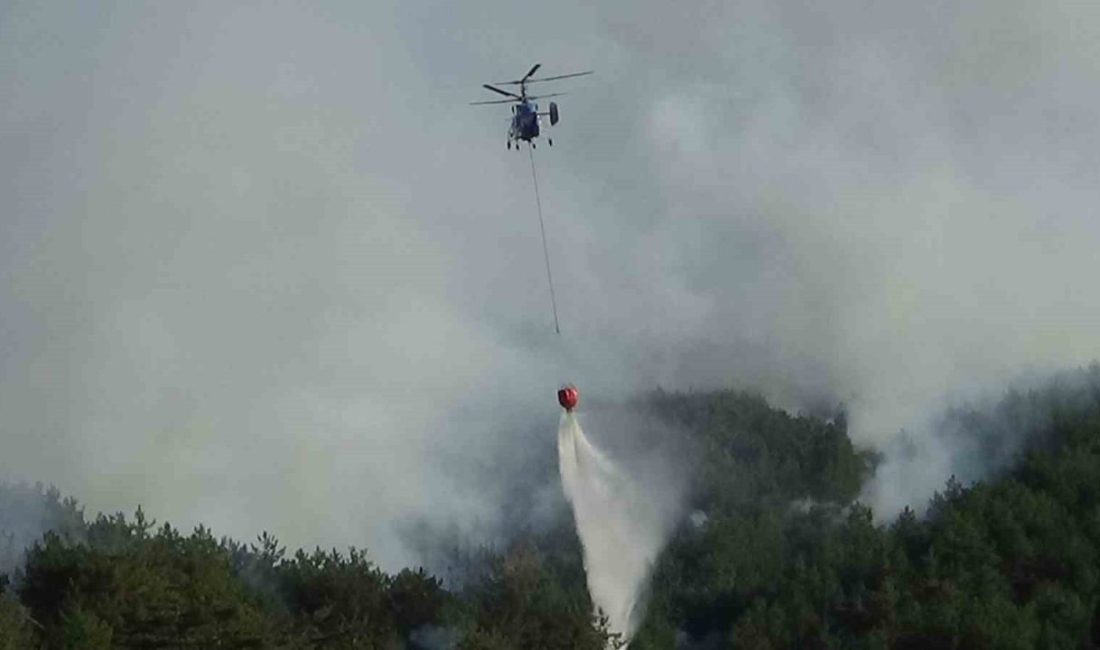 Bolu’nun Mudurnu ilçesinde biçerdöverden sıçrayan kıvılcımlar nedeniyle çıktığı belirlenen orman