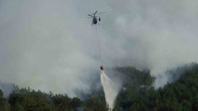 Bolu’nun Mudurnu ilçesinde biçerdöverden sıçrayan kıvılcımlar nedeniyle çıktığı belirlenen orman