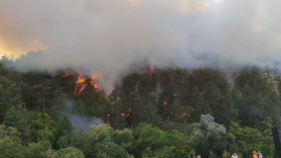 Bolu’nun Mengen ilçesinde çıkan orman yangını rüzgarın etkisi ile yayılırken,