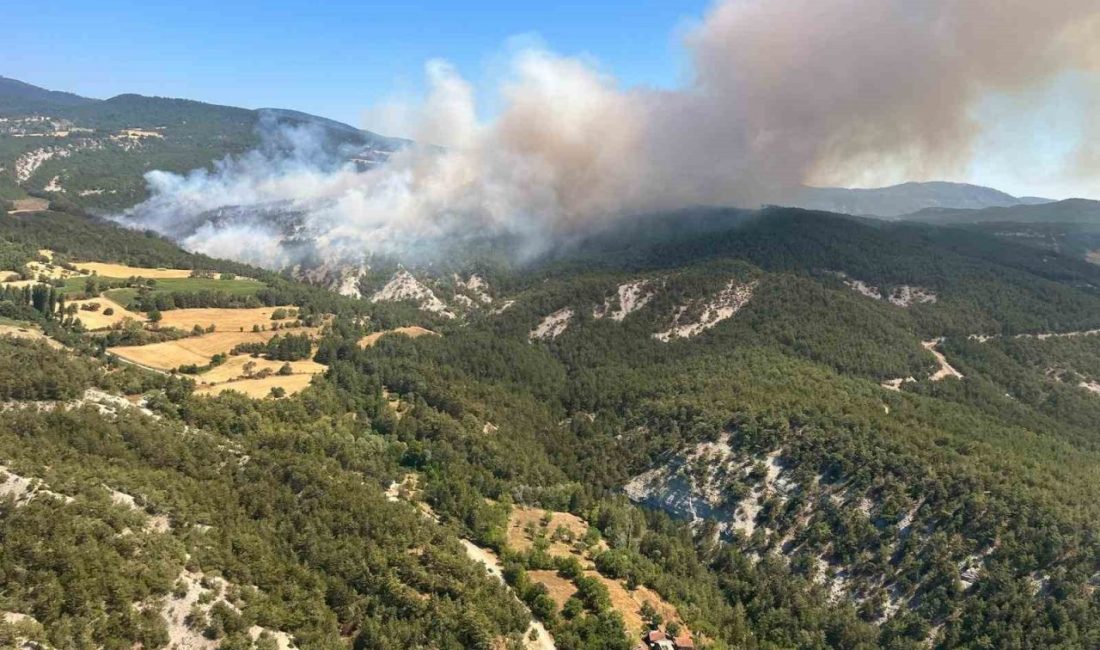 Bolu’daki orman yangınına müdahale sürüyor Bolu’da arazide çıkarak ormana sıçrayan yangına, çok sayıda araçla havadan