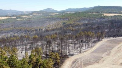 Bolu’nun Mudurnu ilçesinde biçerdöverden sıçrayan kıvılcımlar nedeniyle arazide başlayan ardından