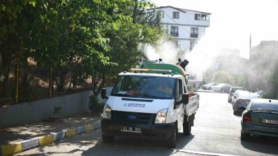 Çayırova’da yaz aylarında artan sinek ve haşere kaynaklı bulaşıcı hastalıkların