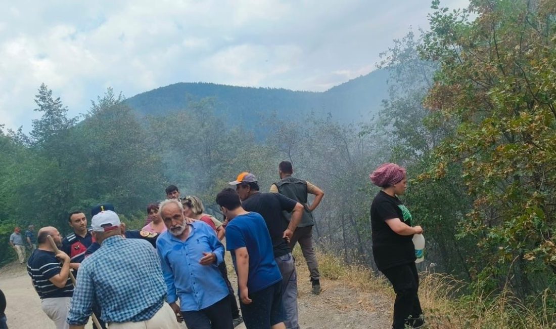 Kastamonu’nun Çatalzeytin ilçesinde çıkan orman yangını ekiplerin müdahalesiyle büyümeden kontrol