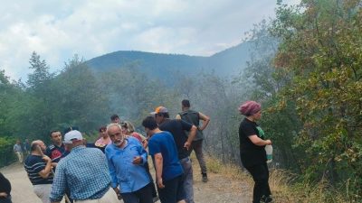 Kastamonu’nun Çatalzeytin ilçesinde çıkan orman yangını ekiplerin müdahalesiyle büyümeden kontrol