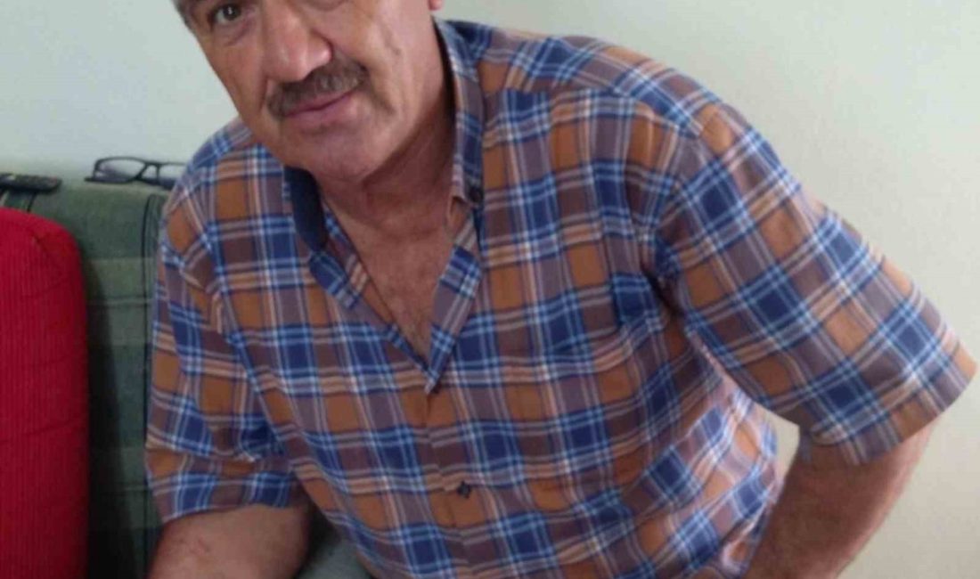 Çıktığı erik ağacı sonu oldu Sakarya’nın Kocaali ilçesinde çıktığı erik ağacından düşen 72 yaşındaki şahıs