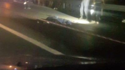 Sakarya’nın Arifiye ilçesi D-650 kara yolunda yolun karşısına geçmeye çalışan