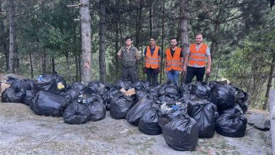 Kastamonu’nun Tosya ilçesinde D100 karayolunun yanındaki ormanlık alanda 200 torba