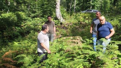 DÜZCE(İHA) – Düzce’de ormanlarda yürütülen gençleştirme çalışmaları yerinde incelinde. Düzce