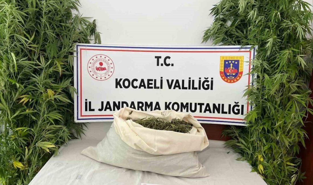 Evini uyuşturucu serasına çevirdi Kocaeli’nin İzmit ve Kandıra ilçelerinde yapılan operasyonlarda, 3 kilo 960