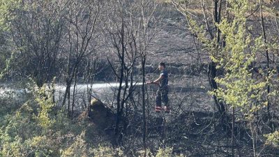 Sakarya’nın Adapazarı ilçesinde evlerin yanındaki otluk alanda çıkan yangın, itfaiye