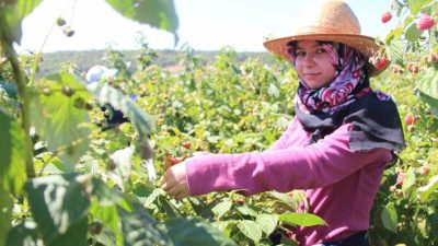 Bolu’da yaşayan 26 yaşındaki Yunus Emre Kalaycı, memur babasından aldığı