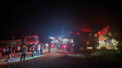 Sakarya’nın Geyve ilçesinde çıkan ormanlık alan yangınında yaklaşık 5 dönüm