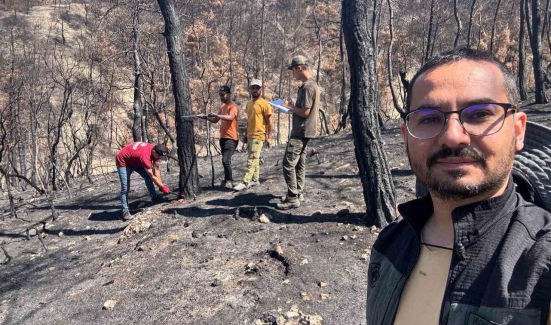 Sakarya’nın Geyve ilçesinde geçtiğimiz haftalarda meydana gelen orman yangınlarının ardından