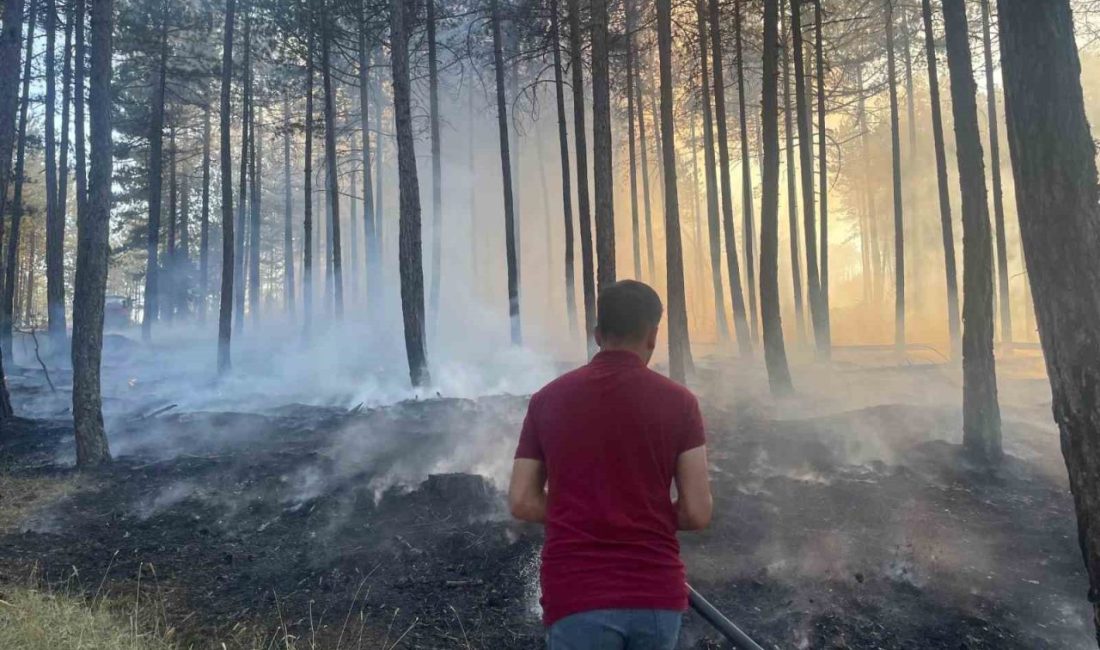 Hanönü’de çıkan orman yangını söndürüldü Kastamonu’nun Hanönü ilçesinde ormanlık alanda çıkan yangın ekipler tarafından büyümeden