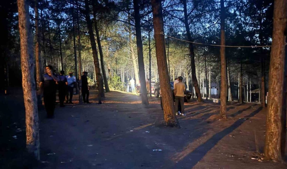 Bilecik Atatürk Ormanı’nda alkol alan iki arkadaş arasında çıkan kavgada