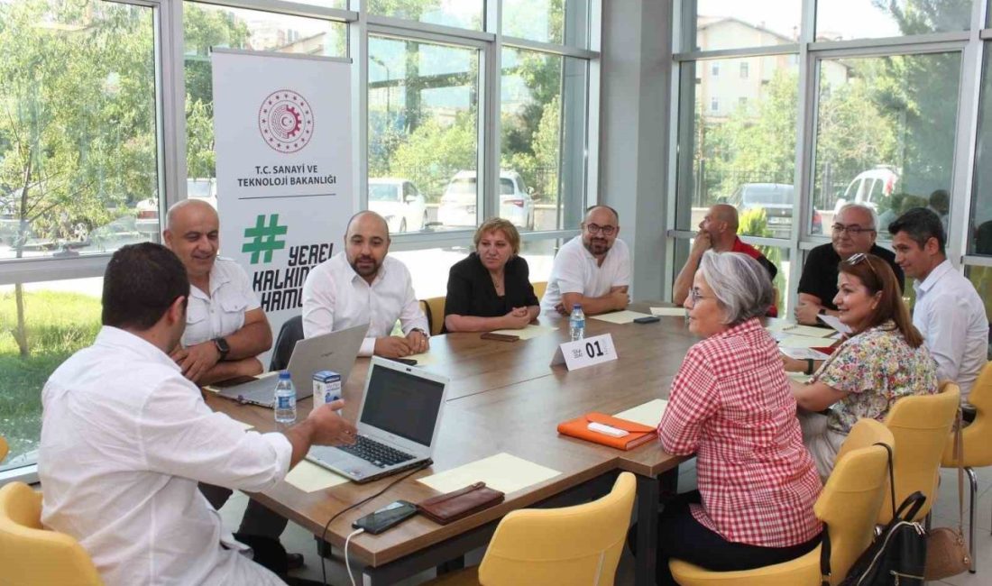 Sanayi ve Teknoloji Bakanlığı Kalkınma Ajansları Genel Müdürlüğü koordinasyonunda yürütülen