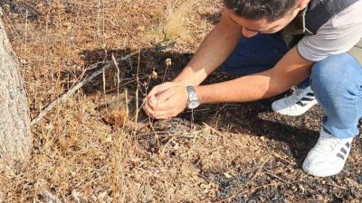 Bilecik’in Pazaryeri ilçesine bağlı Burçalık köyünde dün akşam saatlerinde tarım