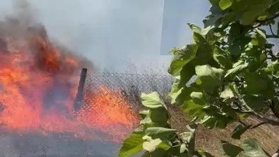 Kocaeli’nin Kandıra ilçesi Koruklar köyünde yangın başladı. Yangının yerleşim yerine