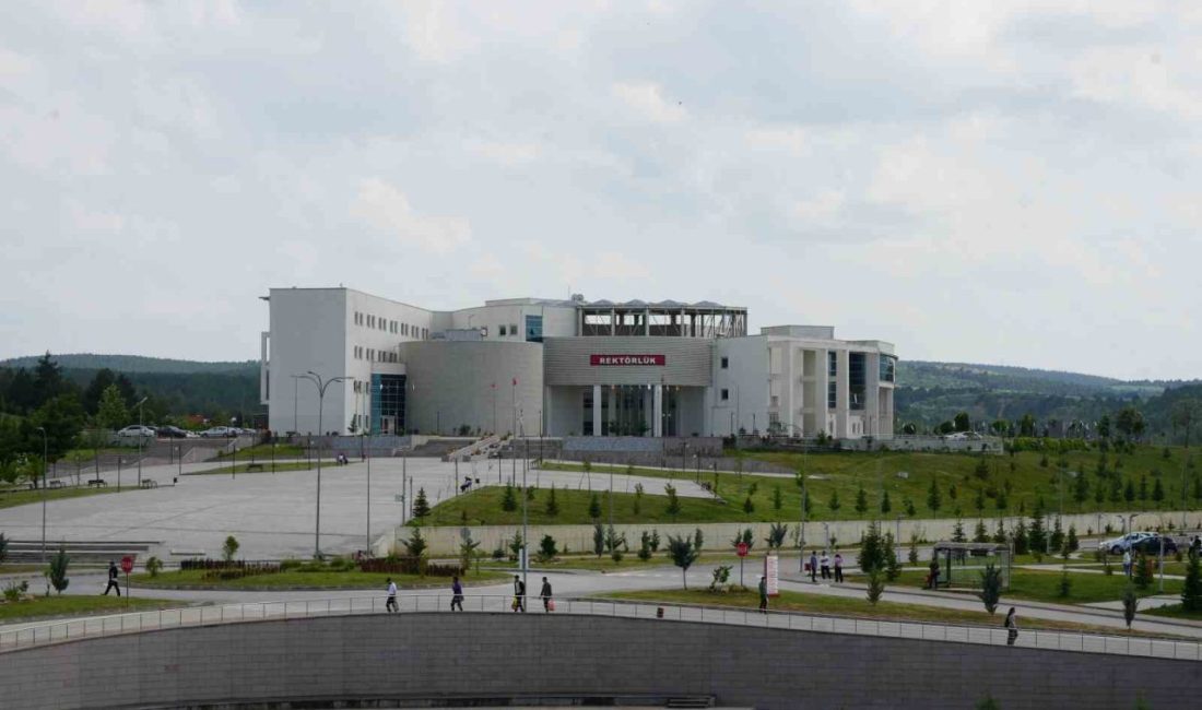 Kastamonu Üniversitesi’nde yeni tezli yüksek lisans programları açıldı Kastamonu Üniversitesi’nin başvurusu üzerine Yükseköğretim Kurulu’ndan Hemşirelik, Siyaset Bilimi ve
