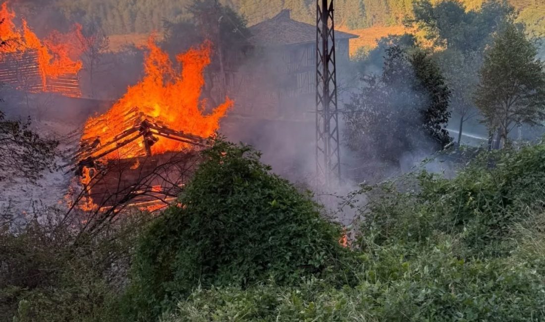 Kastamonu’da alevlere telim olan iki samanlık yandı Kastamonu’nun Araç ilçesinde çıkan yangında iki samanlık yanarak küle döndü.