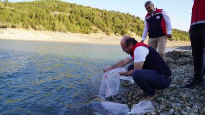Kastamonu’da İl Tarım ve Orman Müdürlüğü ekiplerince baraj ve göletlere