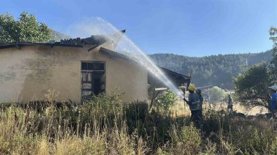 Kastamonu’nun Tosya ilçesinde çıkan yangında bir samanlık, odunluk ve yaklaşık