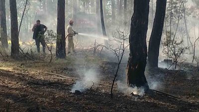 Kastamonu’nun Gödel köyünde ormanlık alanda çıkan yangın, ekiplerin hızlı müdahalesiyle