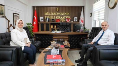 DÜZCE(İHA) – Düzce Belediye Başkanı DR. Faruk Özlü, tarımsal üretim