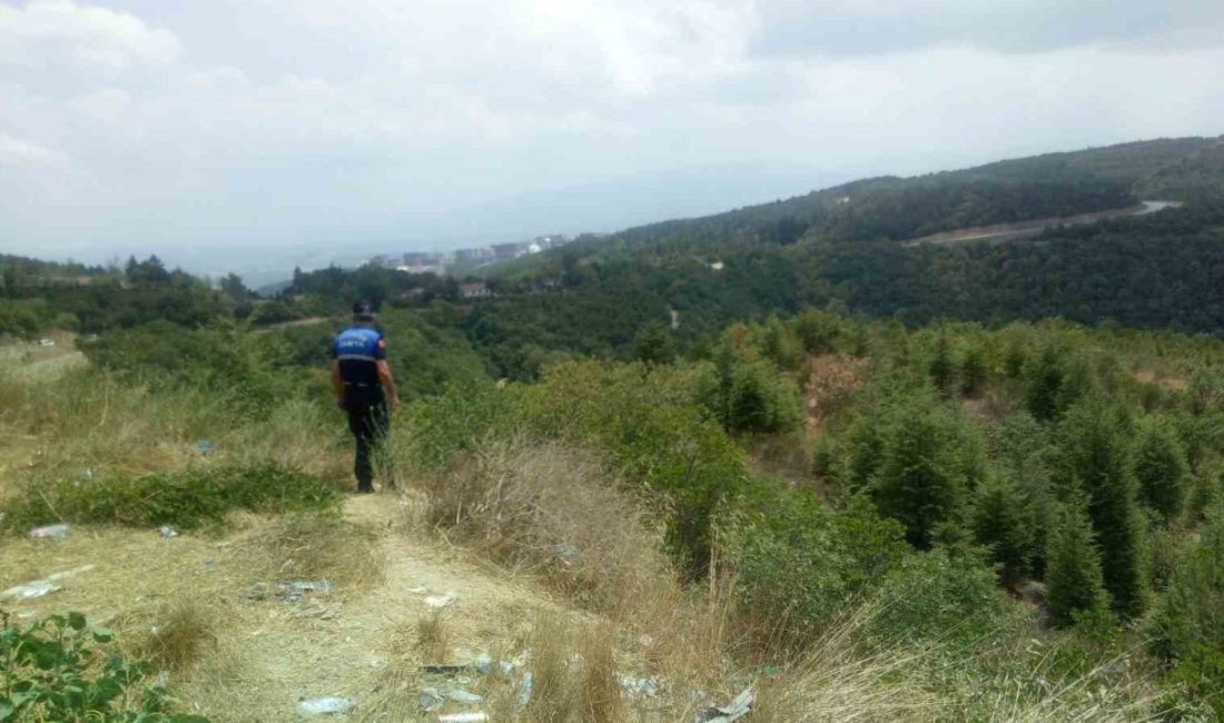 Kocaeli zabıtası yangınlara karşı devriyede Kocaeli Büyükşehir Belediyesi Zabıta ekipleri, yaşanan orman yangınlarına karşı tedbirleri