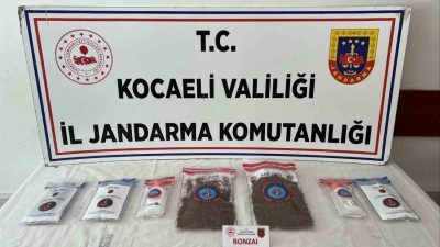 Kocaeli’nin İzmit ve Körfez ilçelerinde düzenlenen uyuşturucu operasyonunda 3 kilo