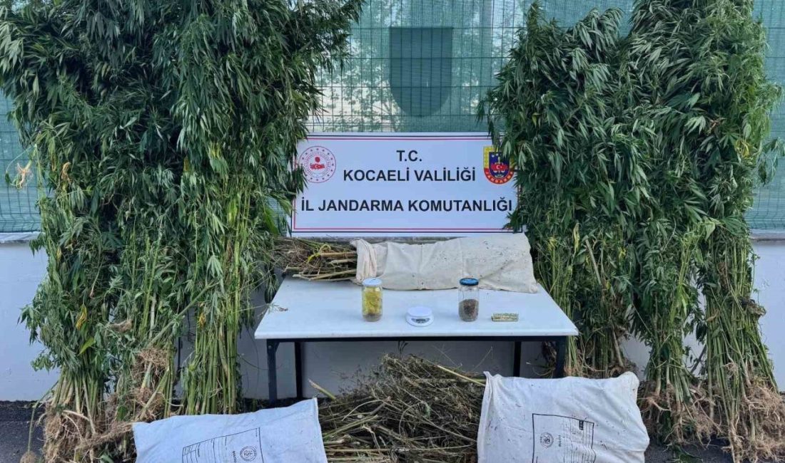Kocaeli’nin İzmit ilçesinde yapılan operasyonda 12 kilo esrar ve 583