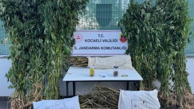 Kocaeli’nin İzmit ilçesinde yapılan operasyonda 12 kilo esrar ve 583