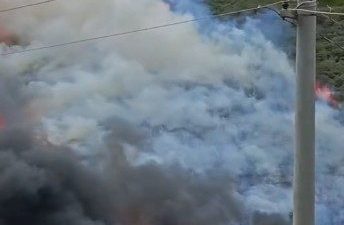 Kocaeli’nin İzmit ilçesi Kuruçeşme mevkiindeki ağaçlık alanda yangın çıktı. Olay