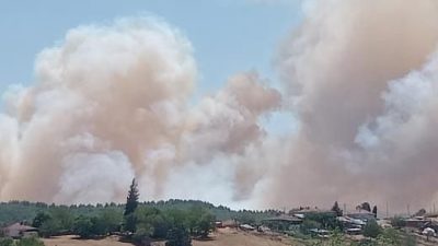 Kocaeli’nin Karamürsel ilçesinde orman yangını başladı. Bölgeye çok sayıda itfaiye