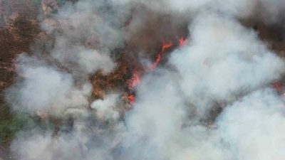 Kocaeli’nin Derince ilçesinde ormanlık alanda yangın çıktı. Havadan ve karadan