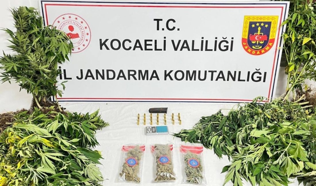 Kocaeli’de uyuşturucu operasyonlarında 1 şüpheli tutuklandı Kocaeli’de jandarma ekiplerince 3 ilçede düzenlenen uyuşturucu operasyonlarında 343 sentetik
