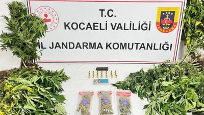 Kocaeli’de jandarma ekiplerince 3 ilçede düzenlenen uyuşturucu operasyonlarında 343 sentetik