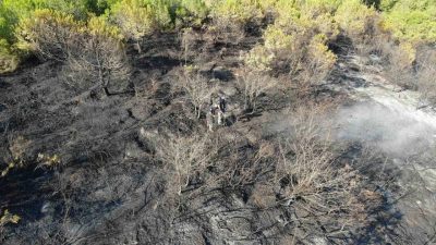 Kocaeli’nin İzmit ilçesinde ormanlık alanda çıkan yangın, itfaiye ekiplerinin hızlı
