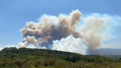 Kocaeli’nin Karamürsel ilçesinde çıkan orman yangınını söndürmek için havadan ve
