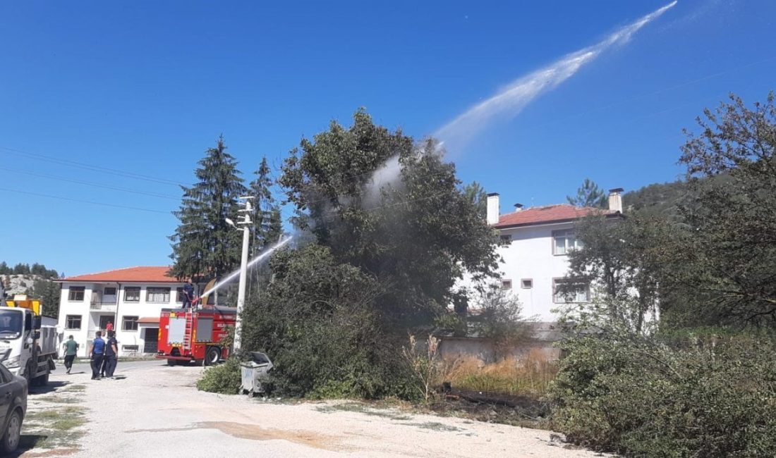 Bolu’nun Mudurnu ilçesinde kopan elektrik telleri nedeniyle otluk alanda yangın