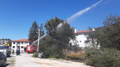 Bolu’nun Mudurnu ilçesinde kopan elektrik telleri nedeniyle otluk alanda yangın