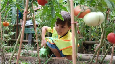 Kocaeli’deki Lokomotif Çocuk Köyü’nde, geleceğin doğa dostu bireyleri toprakla buluşmanın