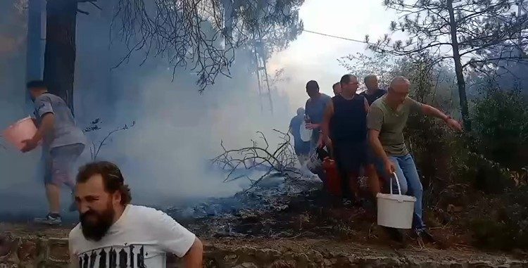 Kocaeli’nin İzmit ilçesinde ormanlık alanda çıkan yangına mahalleli kovalarla müdahale
