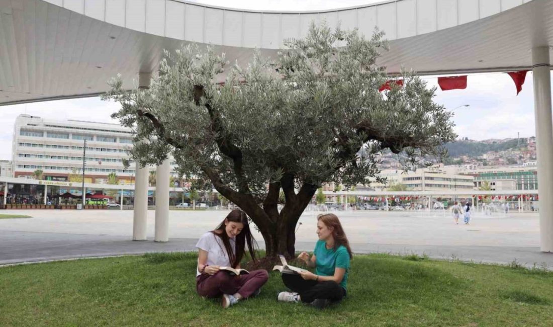 Kocaeli’de milyonlarca ağacı toprakla buluşturan büyükşehir belediyesi, İzmit Milli İrade