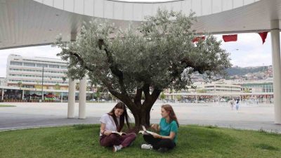 Kocaeli’de milyonlarca ağacı toprakla buluşturan büyükşehir belediyesi, İzmit Milli İrade