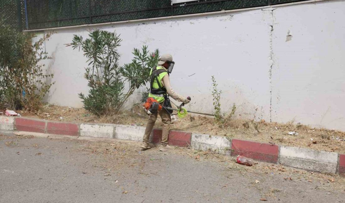 Çayırova Belediyesi Park ve Bahçeler Müdürlüğü ekipleri, yaklaşan eğitim-öğretim dönemi
